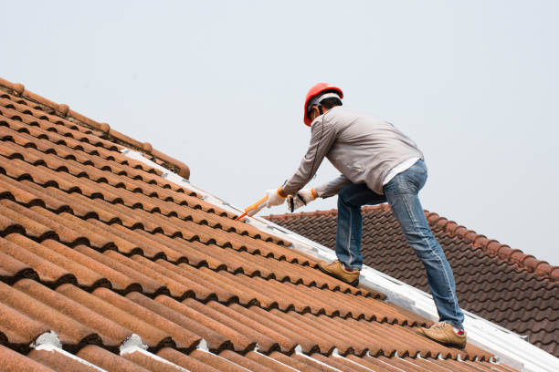 Best Gutter Installation and Repair  in Orange Park, FL